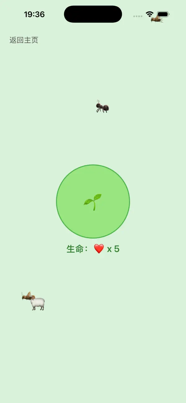 青坪伴小羊