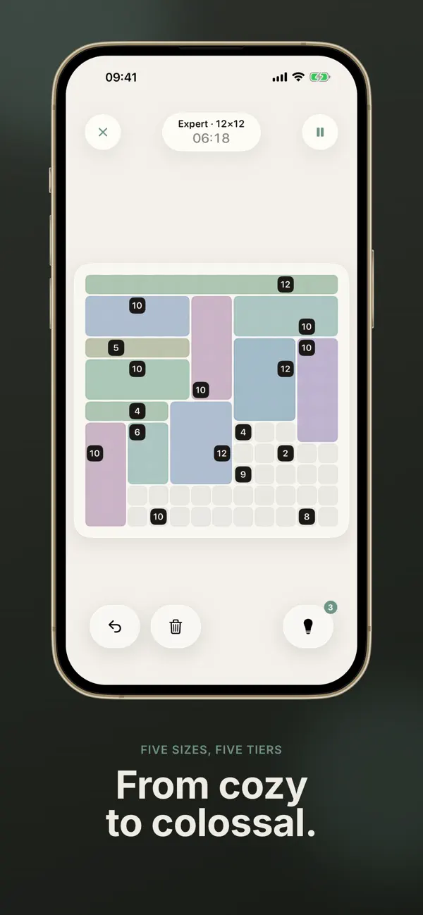 Kaku - Shikaku Puzzle