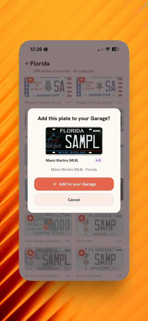 License Plate Collector