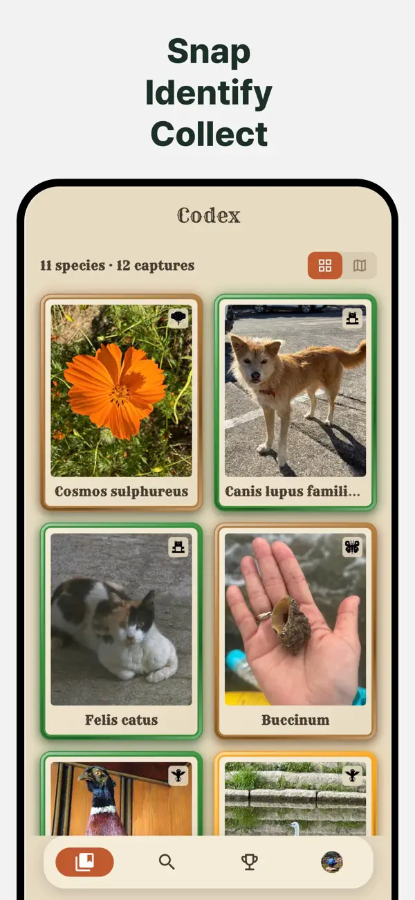creatureX – Catch & Collect
