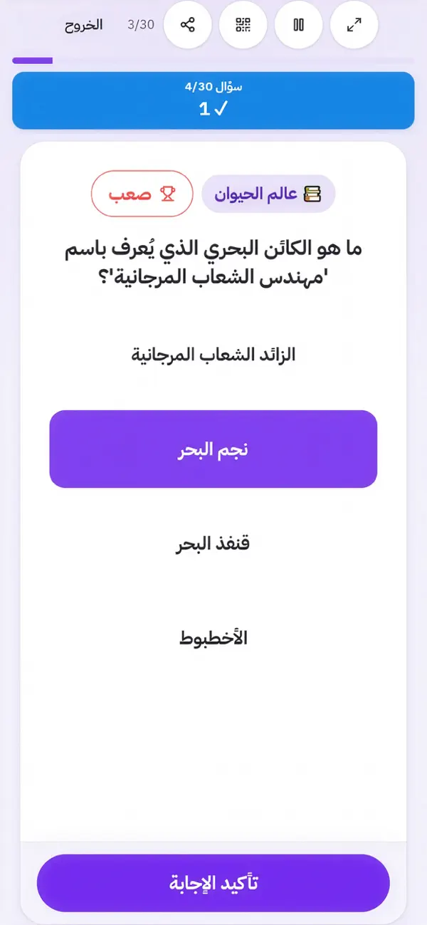 Jalsa Trivia (جلسة تريفيا)