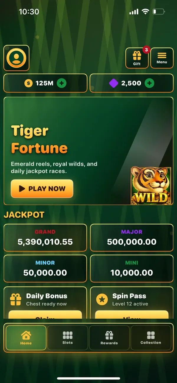 Master Tiger fortune