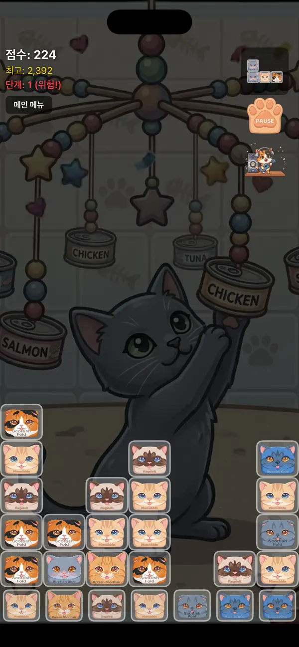 CatsBlocks