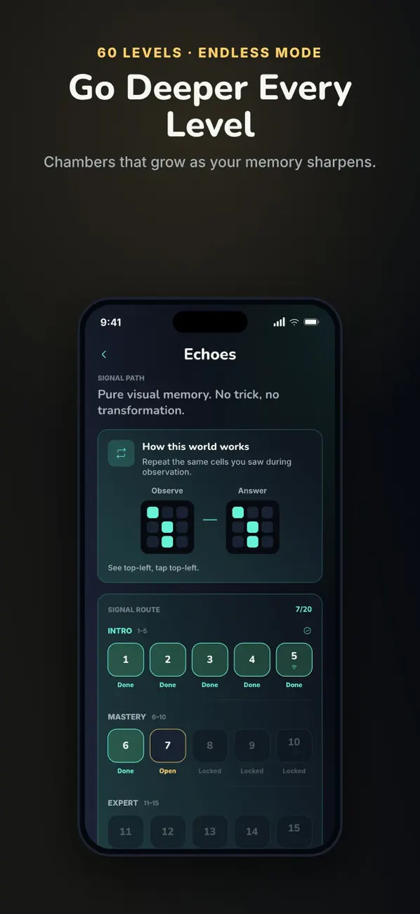 EchoGrid: Memory Puzzle