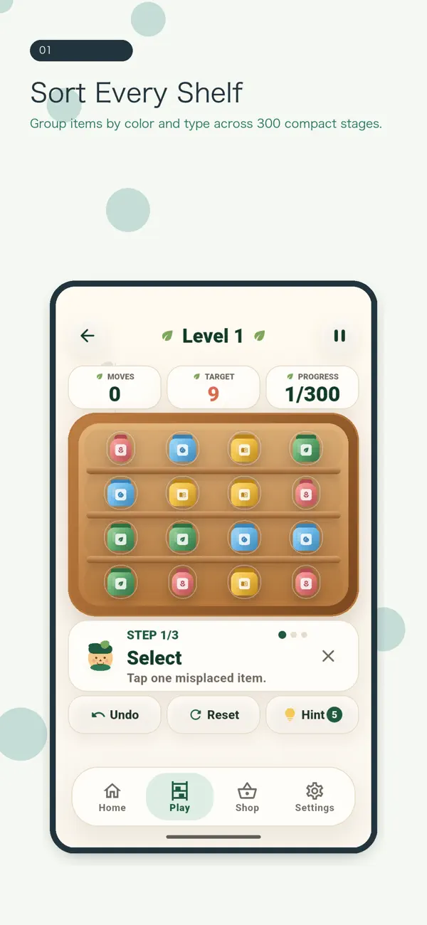Sort Room: Shelf Puzzle