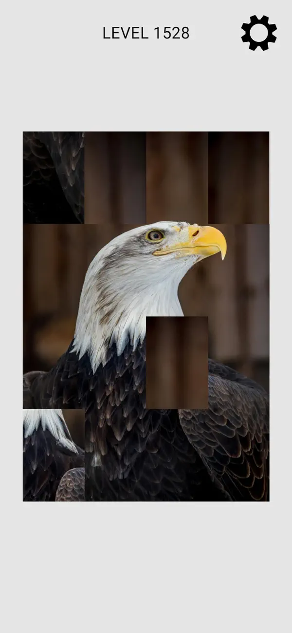 JigSolitaire Puzzle