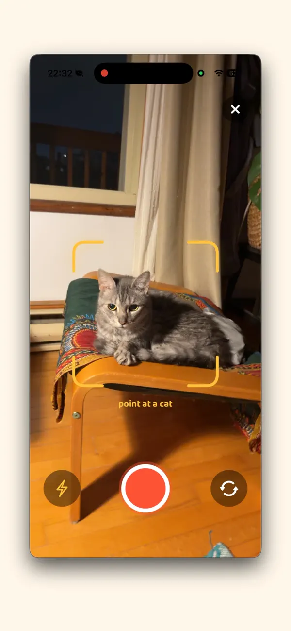 Cat Collector: Catch Real Cats