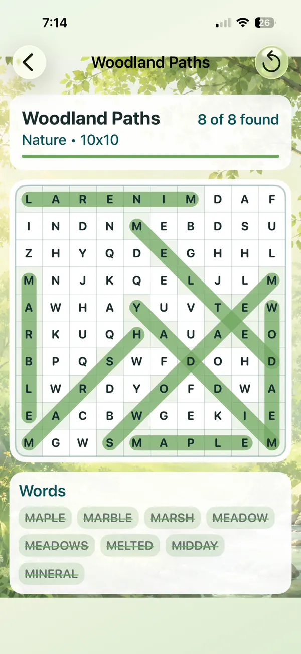 Puzzle Possibilities