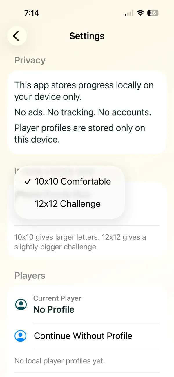 Puzzle Possibilities