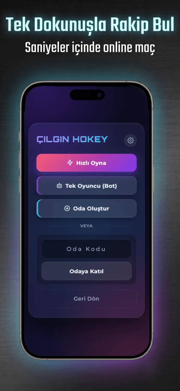 Çılgın Hockey