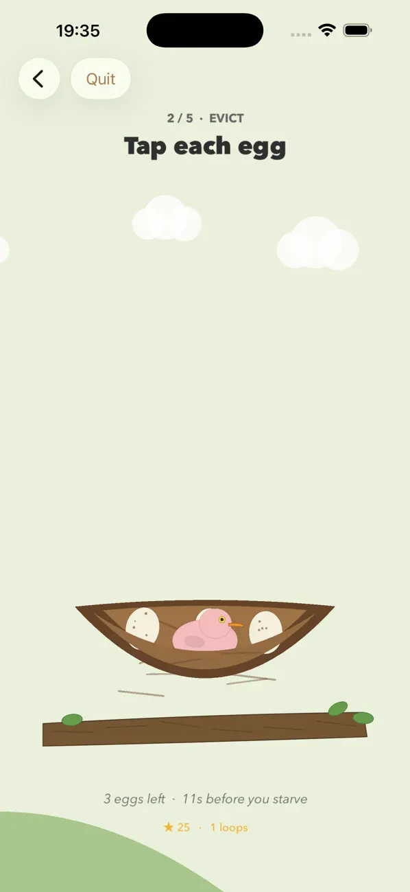 Cuckoo Bird: Nest Life