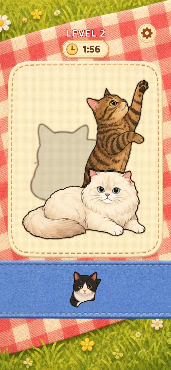 Kitty Pick