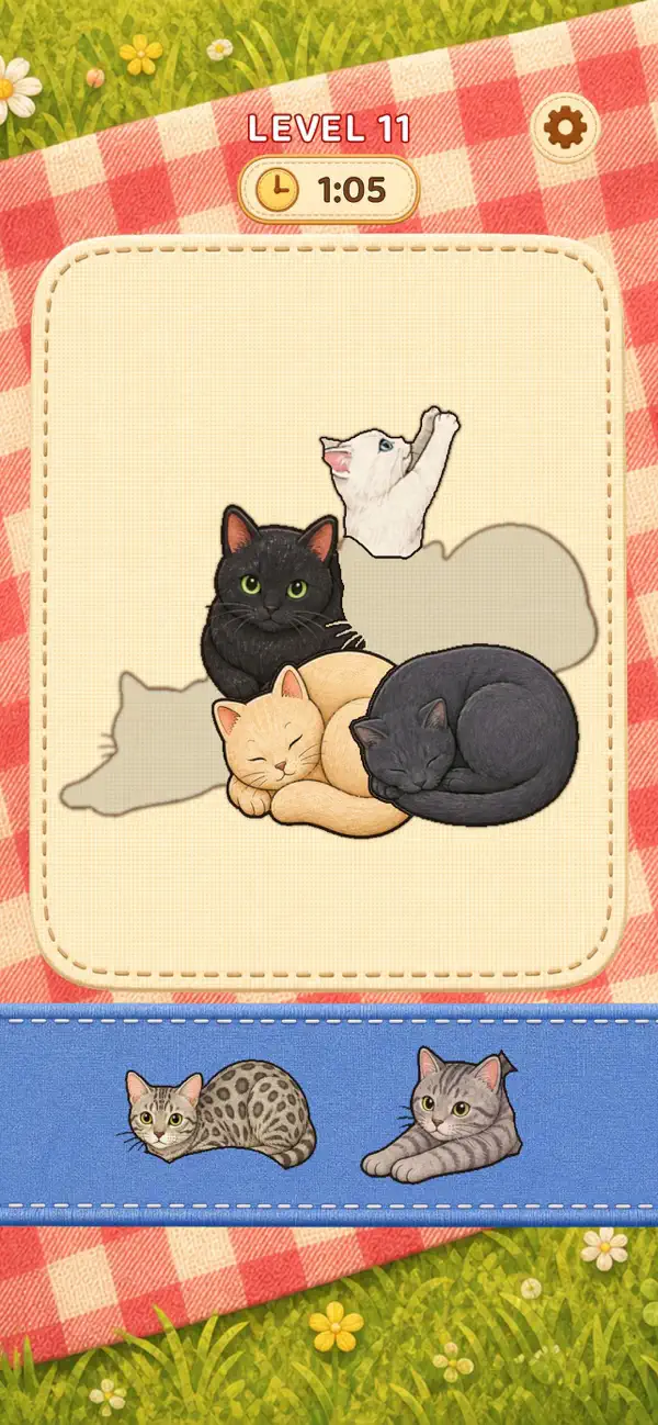 Kitty Pick