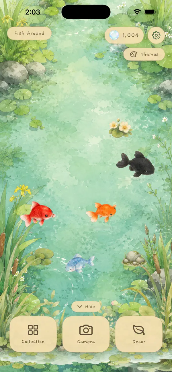 Fish Around: Pond Builder