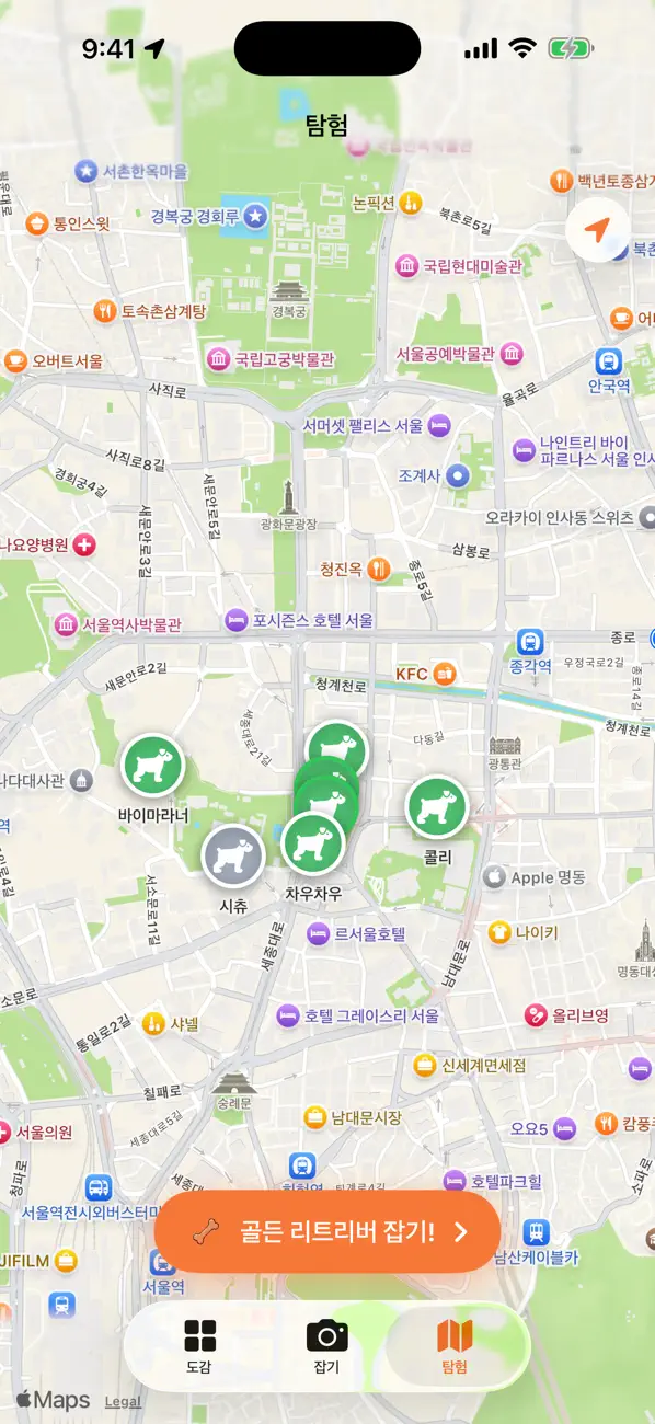 댕댕박사