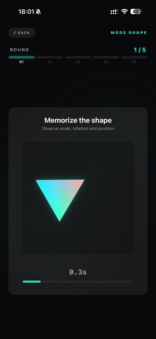 Color & Shape Guessr