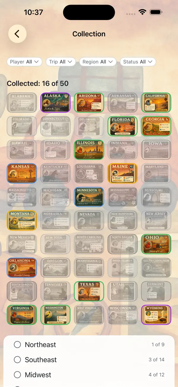 BumperBingo