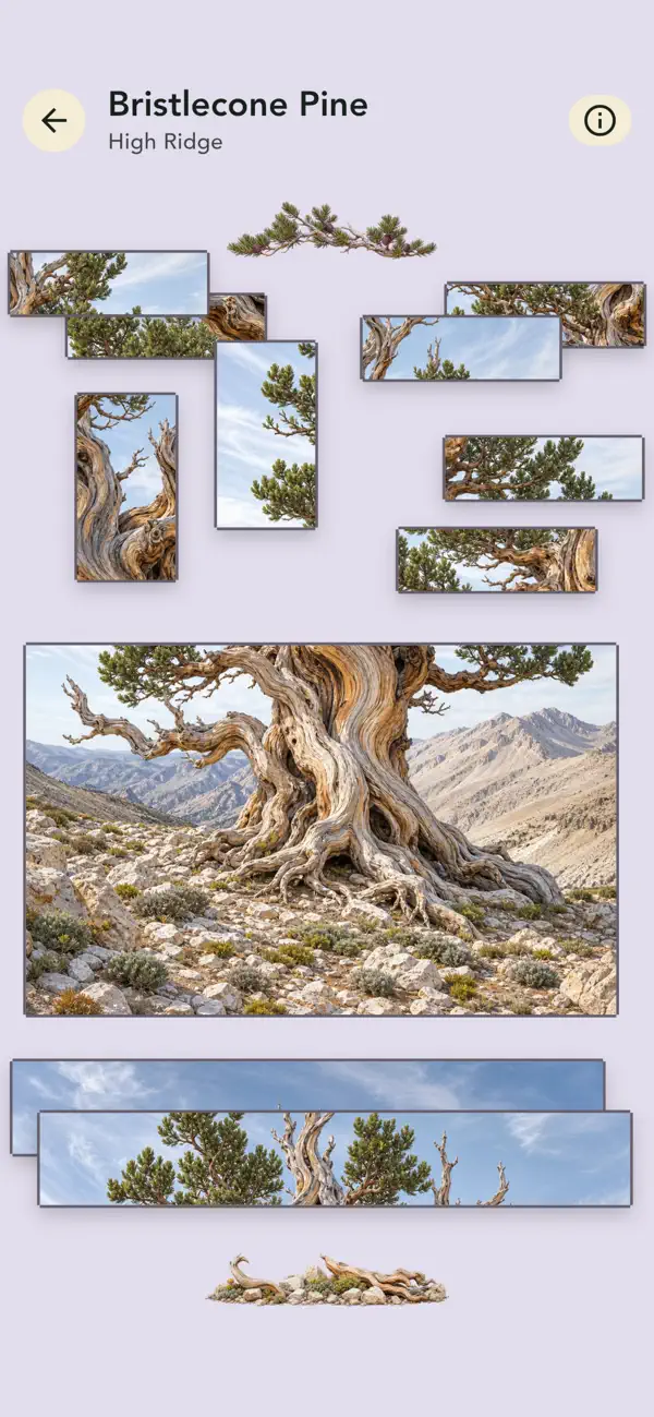 Grove: Botanical Art Puzzles