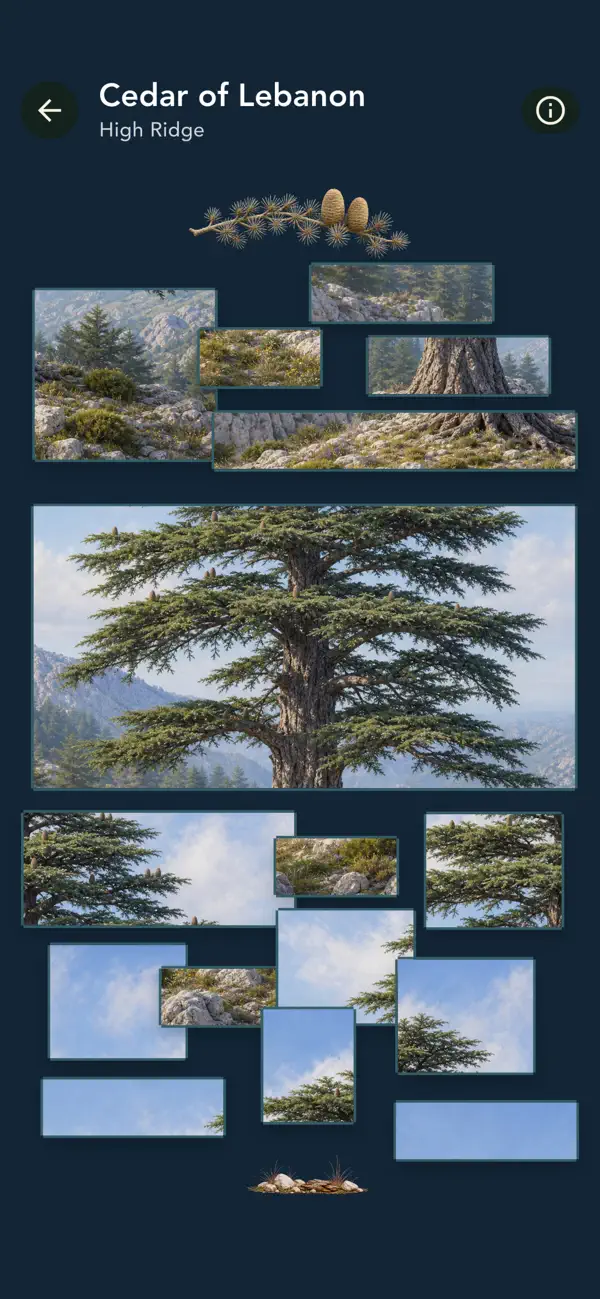 Grove: Botanical Art Puzzles