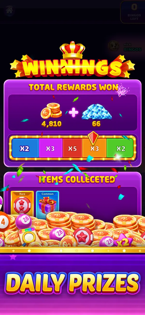 Bingo Rich Party