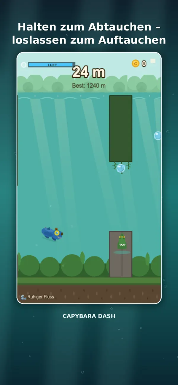 Capybara Dash