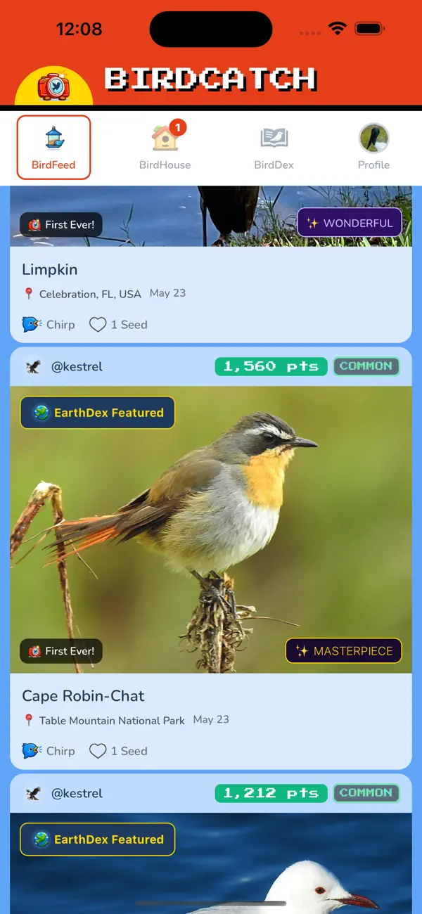 BirdCatch: Birding Game