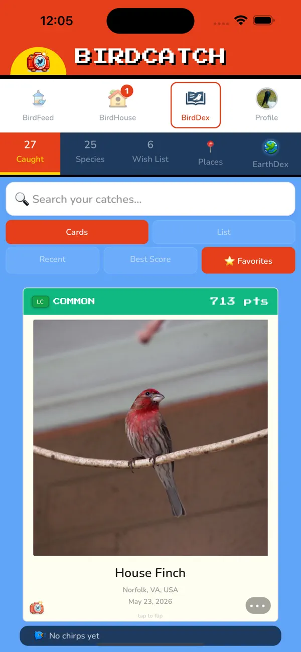 BirdCatch: Birding Game