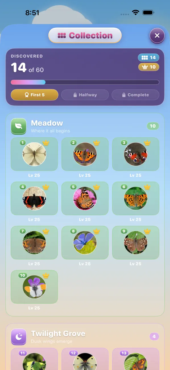 Butterfly Kingdom