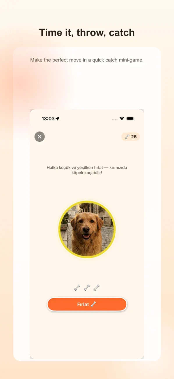 DogCatch