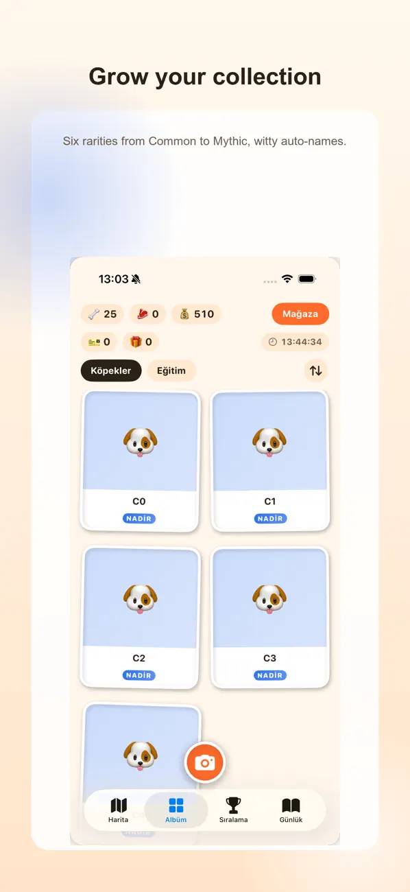 DogCatch