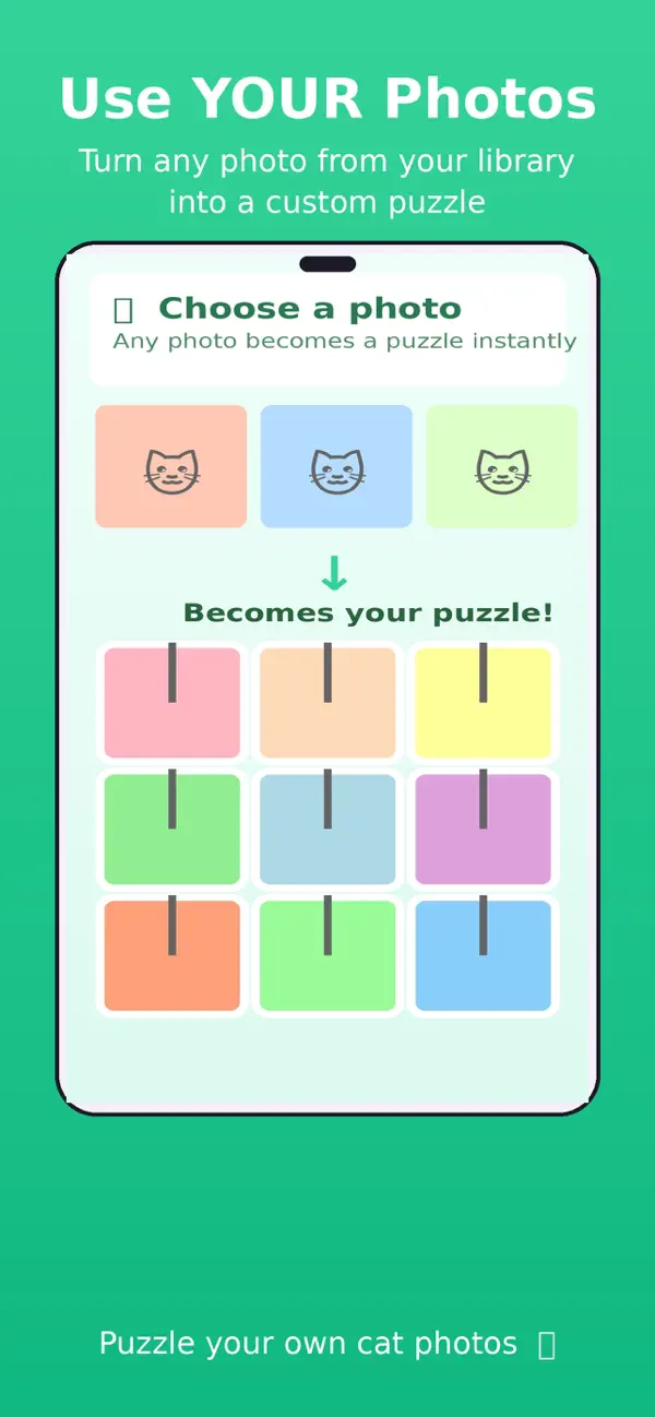 KittyMystery
