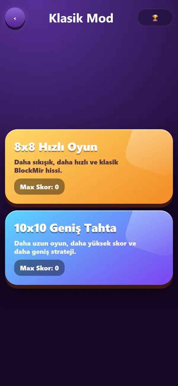 BlockMir-Blok Puzzle