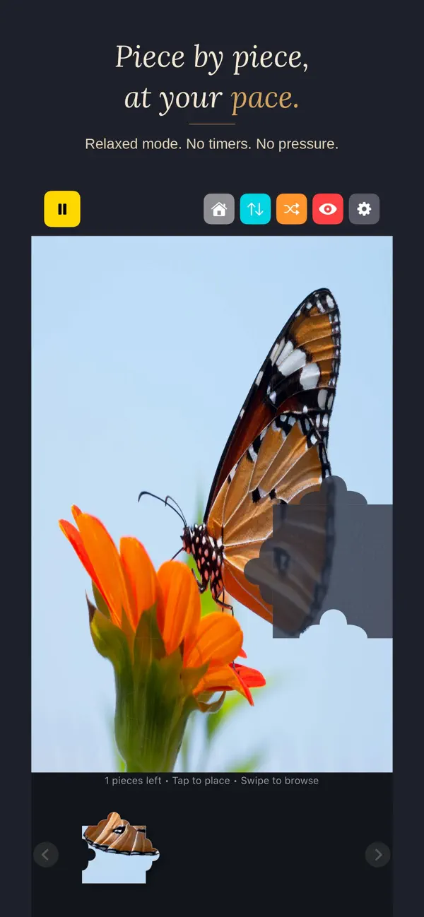 Pieceful Puzzles
