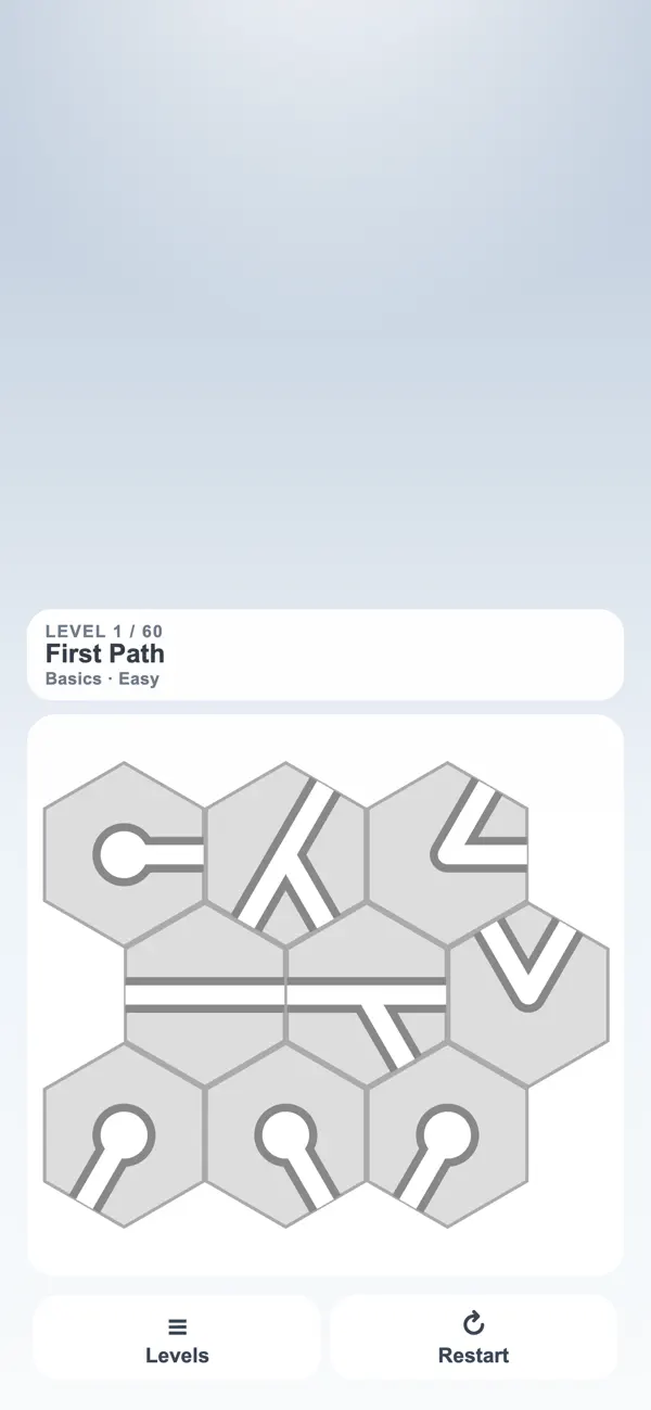 Path Puzzle: Pipe Flow
