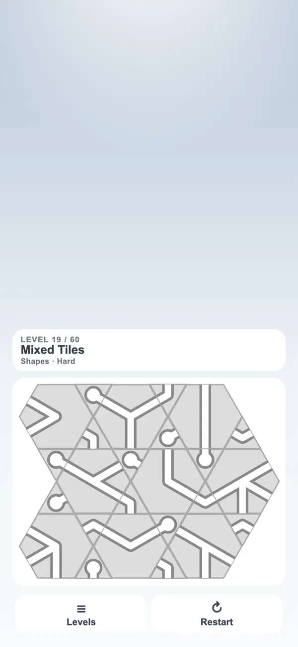 Path Puzzle: Pipe Flow
