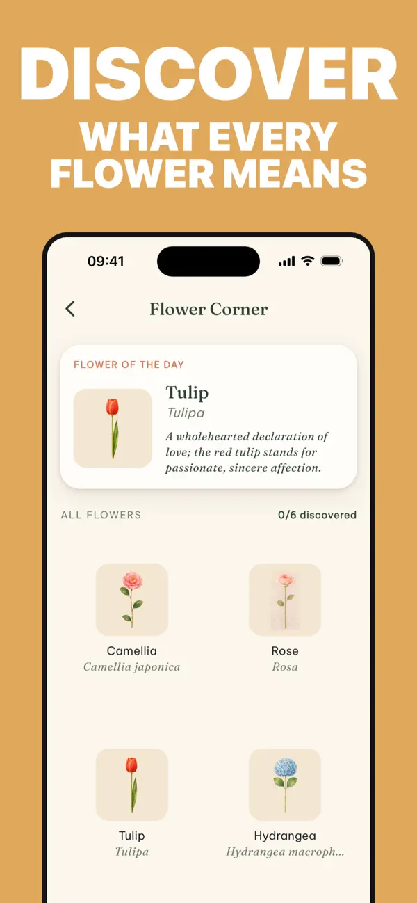 Bloomette: Flower Arranging