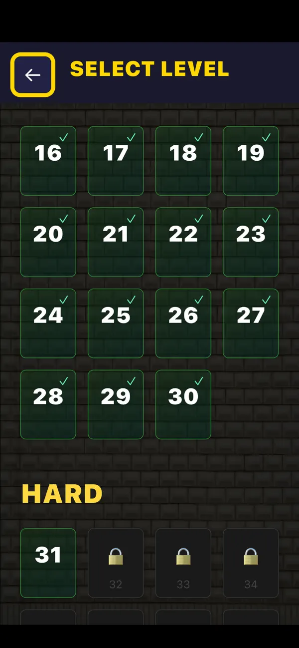 Board Slicer