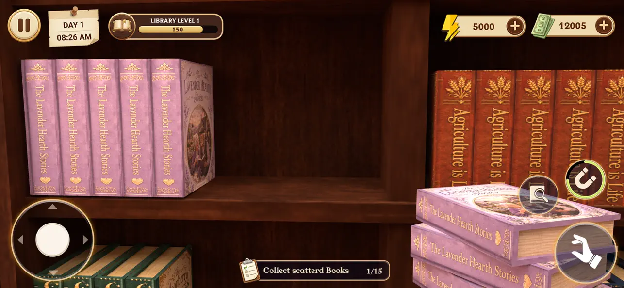 Librarian Game Tidy Up Library