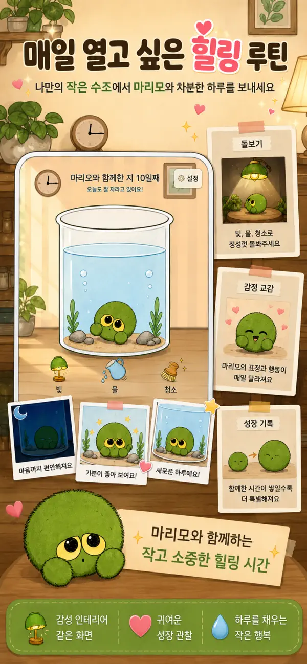 마리모