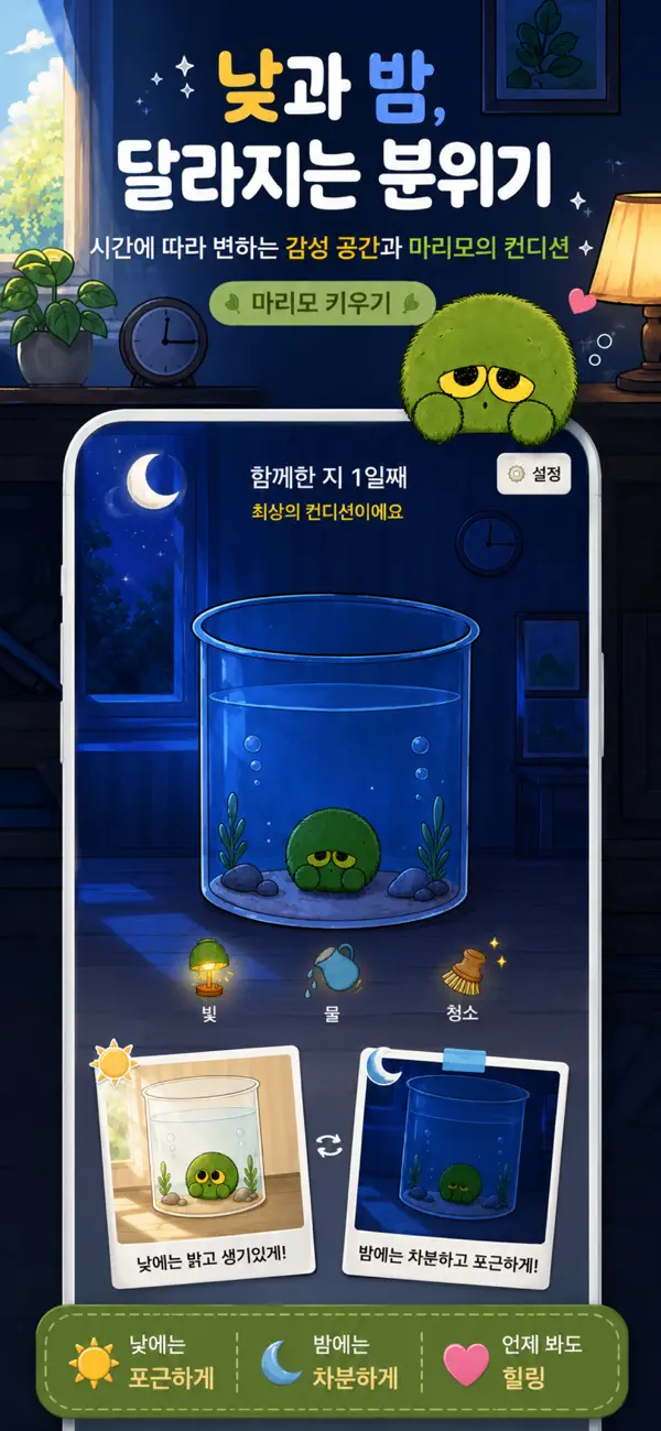 마리모