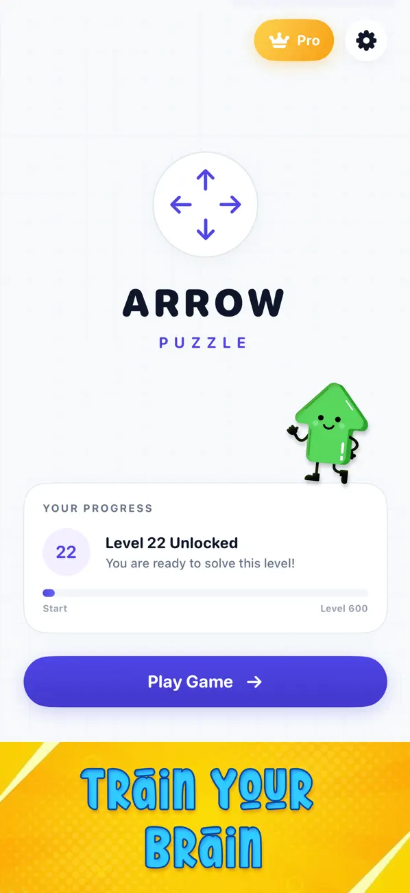 Arrow Master Puzzle