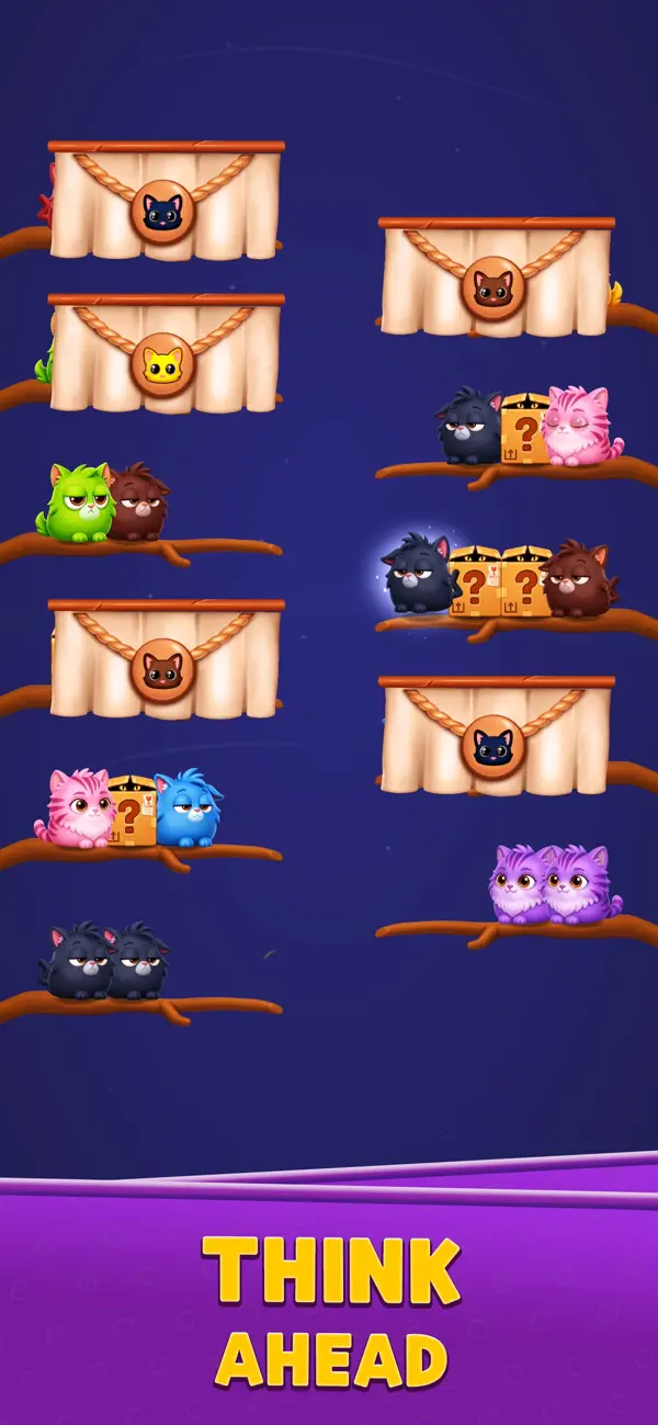 Kitten Jam Sort
