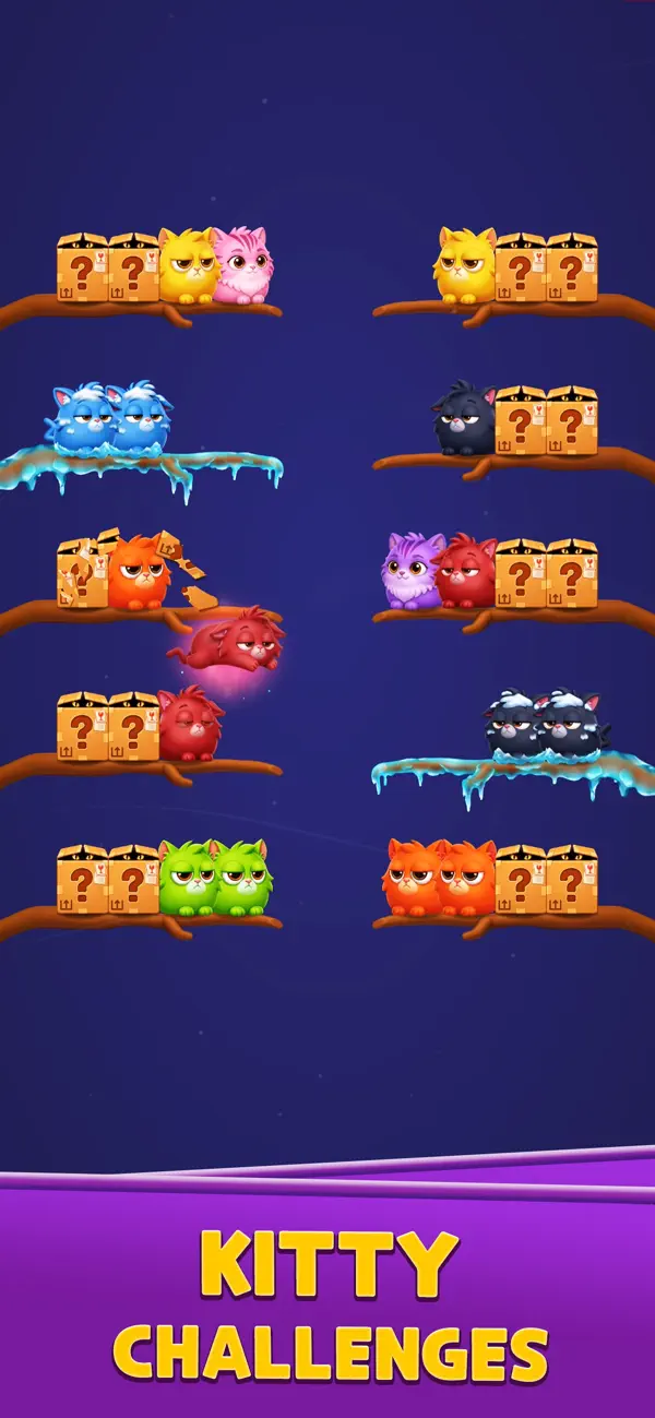 Kitten Jam Sort